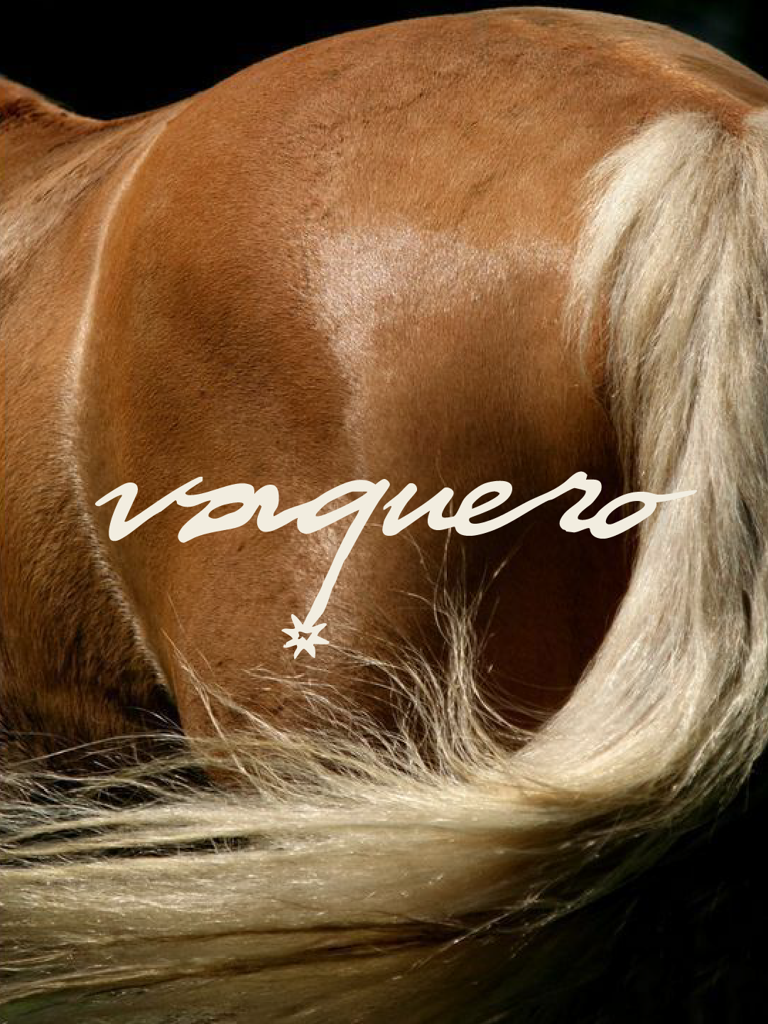 Vaquero1998 | Leather Goods — Logo Design